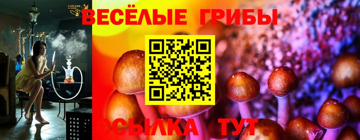 Галлюциногенные грибы Cubensis Дедовск