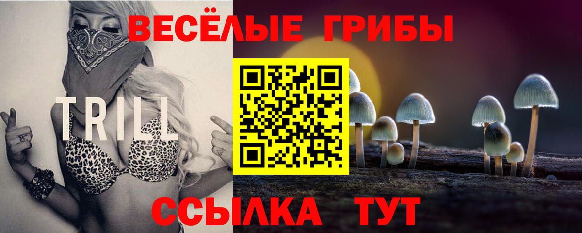 Галлюциногенные грибы Psilocybine cubensis  Вход с VPN  Дедовск 